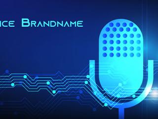 Voice Brandname